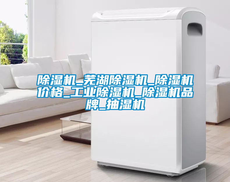 除濕機(jī)_蕪湖除濕機(jī)_除濕機(jī)價格_工業(yè)除濕機(jī)_除濕機(jī)品牌_抽濕機(jī)