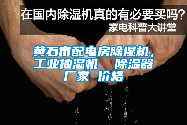 黃石市配電房除濕機，工業抽濕機  除濕器廠家 價格