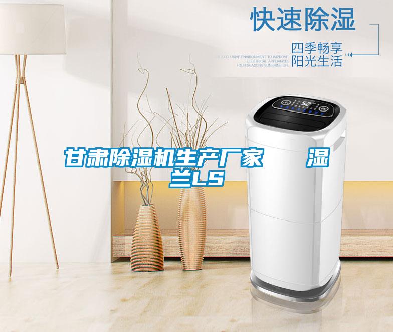 甘肅除濕機生產(chǎn)廠家 濕蘭LS