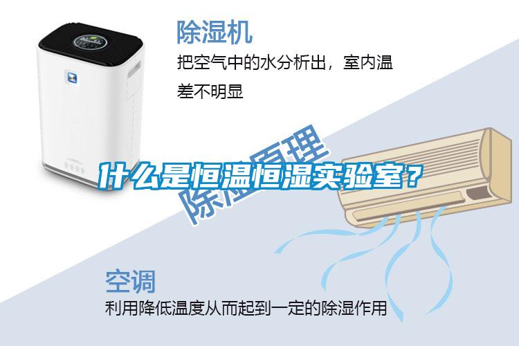 什么是恒溫恒濕實驗室？
