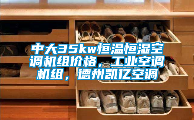 中大35kw恒溫恒濕空調(diào)機(jī)組價(jià)格,工業(yè)空調(diào)機(jī)組,德州凱億空調(diào)