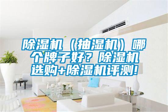 除濕機(抽濕機)哪個牌子好?除濕機選購+除濕機評測!