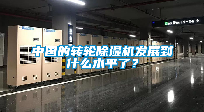 中國(guó)的轉(zhuǎn)輪除濕機(jī)發(fā)展到什么水平了?