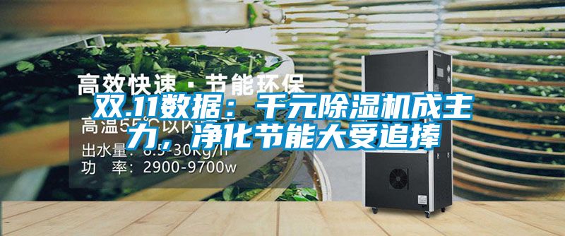 雙.11數據:千元除濕機成主力,凈化節(jié)能大受追捧