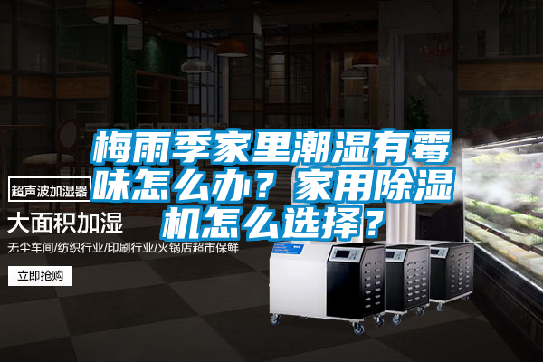 梅雨季家里潮濕有霉味怎么辦?家用除濕機(jī)怎么選擇?