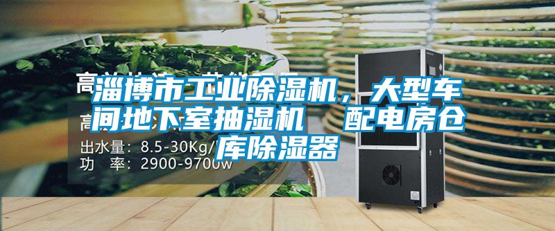 淄博市工業(yè)除濕機，大型車間地下室抽濕機  配電房倉庫除濕器