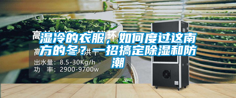 濕冷的衣服，如何度過這南方的冬？一招搞定除濕和防潮