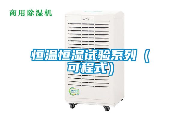 恒溫恒濕試驗系列(可程式)