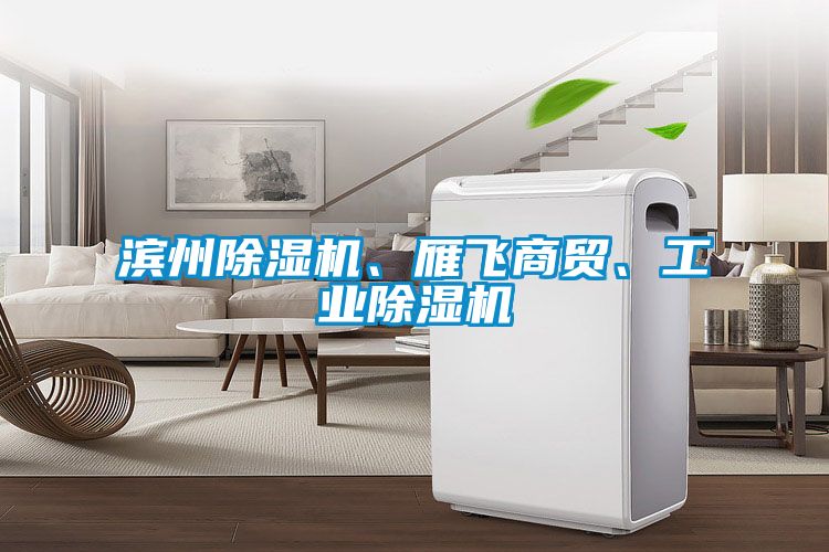 濱州除濕機(jī)、雁飛商貿(mào)、工業(yè)除濕機(jī)