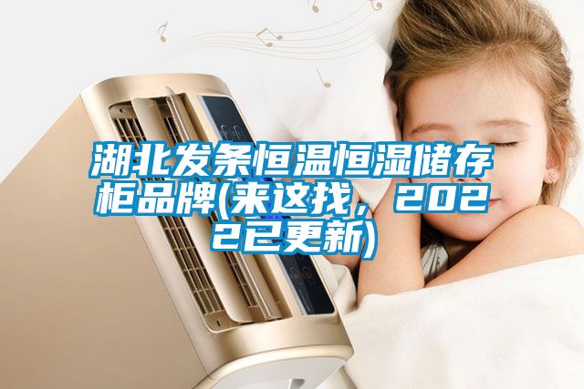 湖北發(fā)條恒溫恒濕儲(chǔ)存柜品牌(來這找，2022已更新)