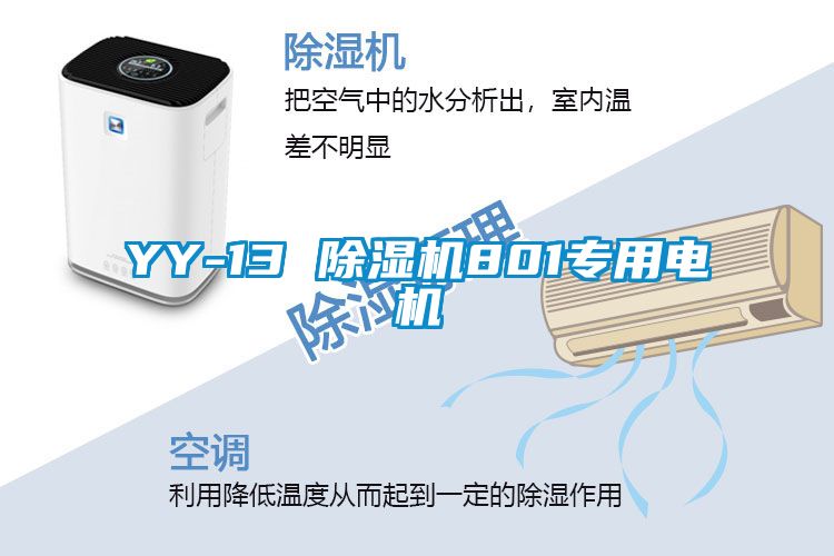 YY-13 除濕機(jī)801專(zhuān)用電機(jī)