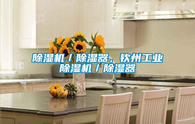除濕機(jī)/除濕器,欽州工業(yè)除濕機(jī)/除濕器