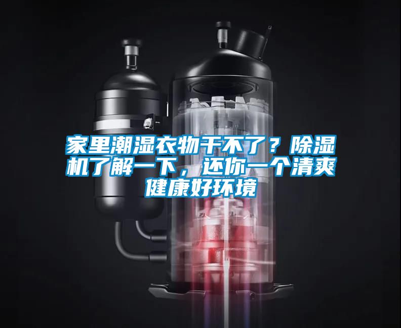家里潮濕衣物干不了？除濕機了解一下，還你一個清爽健康好環境