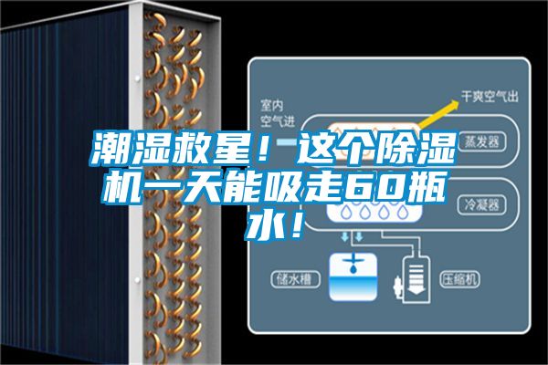 潮濕救星！這個除濕機一天能吸走60瓶水！