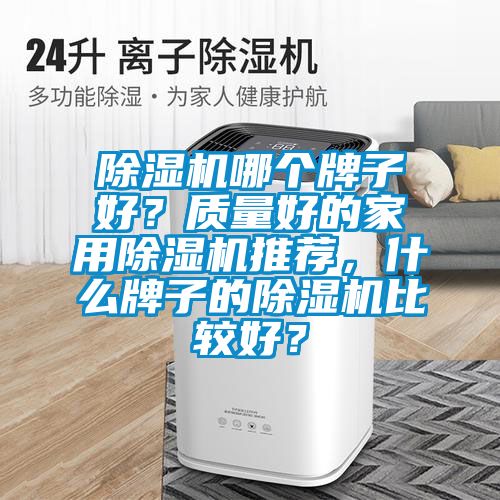 除濕機哪個牌子好？質量好的家用除濕機推薦，什么牌子的除濕機比較好？