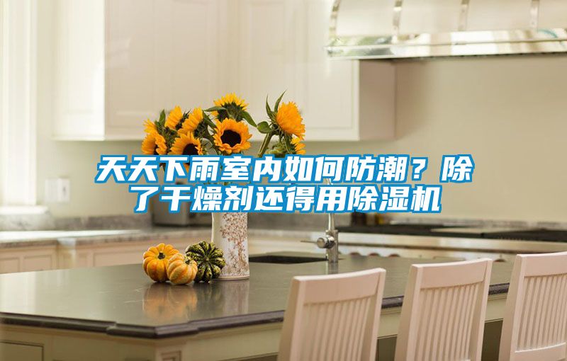 天天下雨室內(nèi)如何防潮?除了干燥劑還得用除濕機(jī)