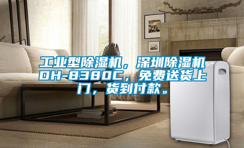 工業型除濕機，深圳除濕機DH-8380C，免費送貨上門，貨到付款。
