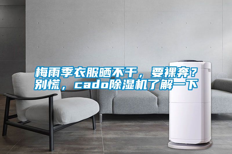 梅雨季衣服曬不干,要裸奔?別慌,cado除濕機(jī)了解一下