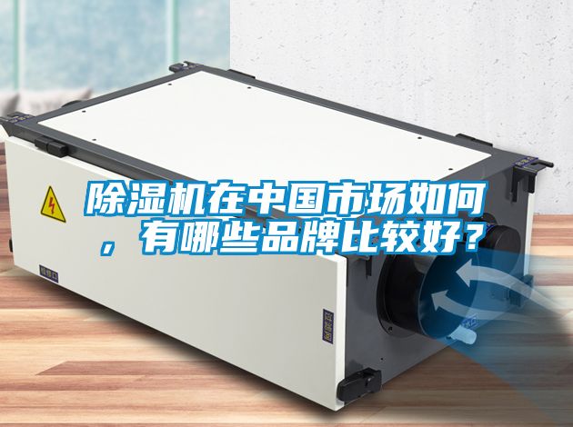 除濕機(jī)在中國市場如何,有哪些品牌比較好?