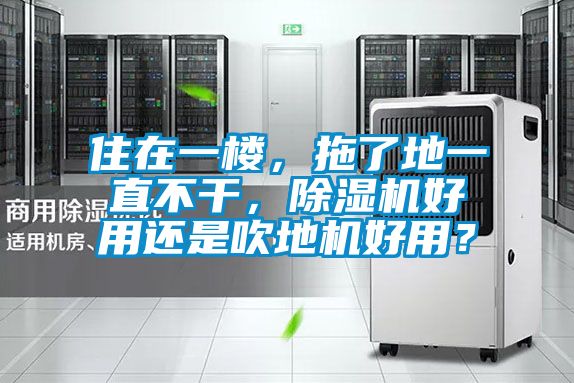 住在一樓,拖了地一直不干,除濕機(jī)好用還是吹地機(jī)好用?