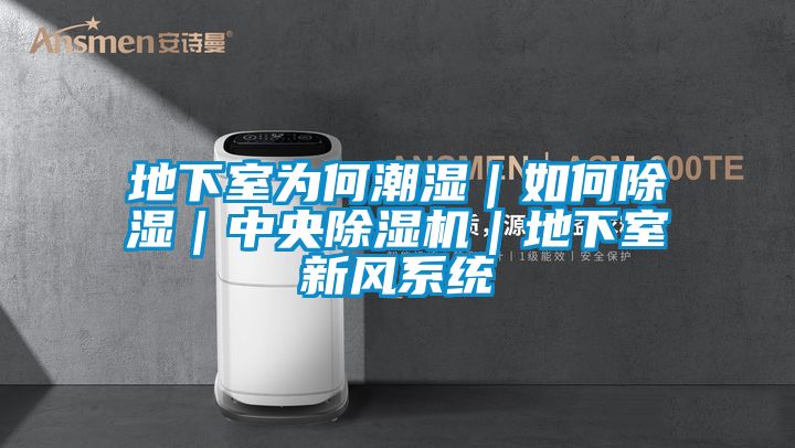 地下室為何潮濕|如何除濕|中央除濕機|地下室新風系統(tǒng)