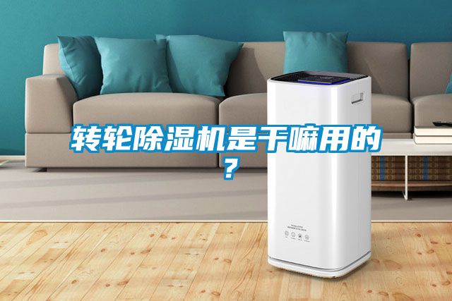 轉(zhuǎn)輪除濕機(jī)是干嘛用的?