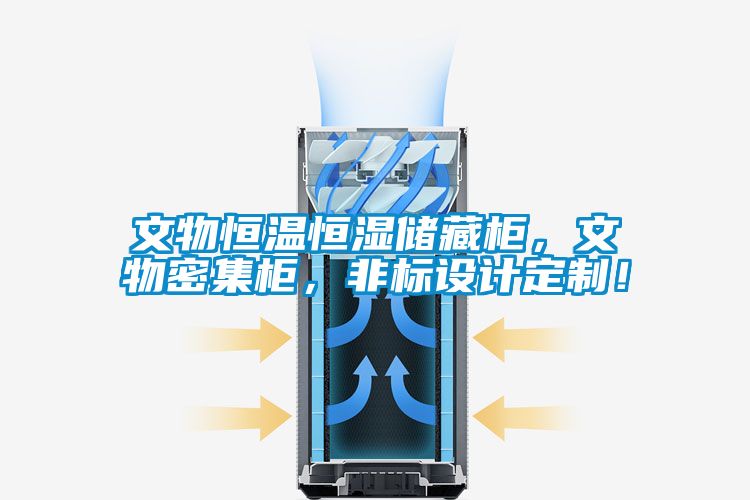 文物恒溫恒濕儲(chǔ)藏柜,文物密集柜,非標(biāo)設(shè)計(jì)定制!