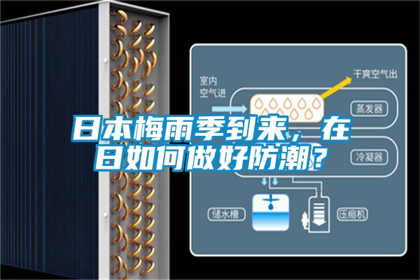 日本梅雨季到來,在日如何做好防潮?