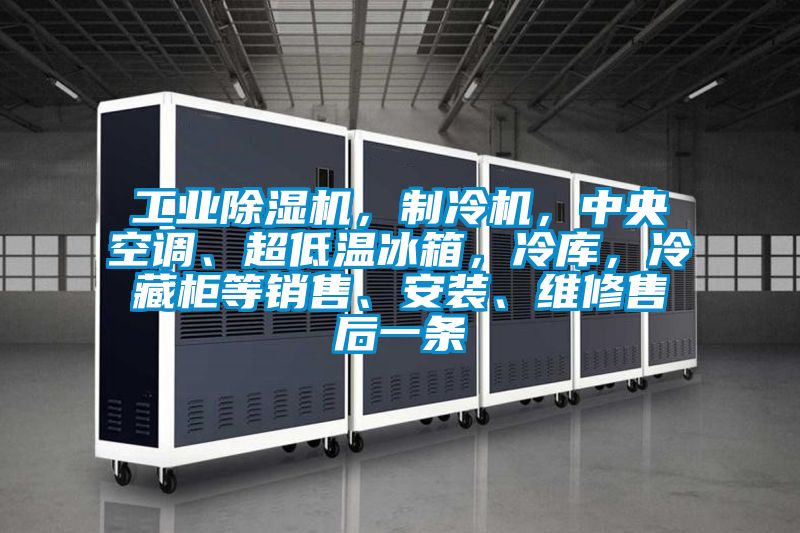 工業除濕機,制冷機,中央空調、超低溫冰箱,冷庫,冷藏柜等銷售、安裝、維修售后一條
