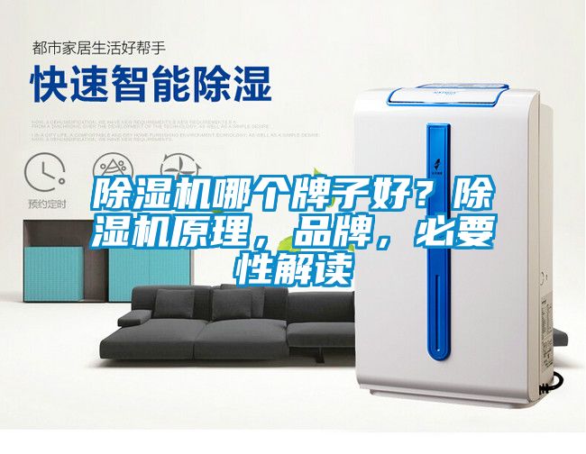 除濕機哪個牌子好？除濕機原理，品牌，必要性解讀