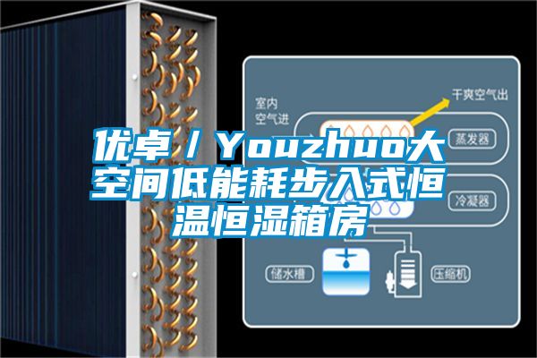 優(yōu)卓/Youzhuo大空間低能耗步入式恒溫恒濕箱房
