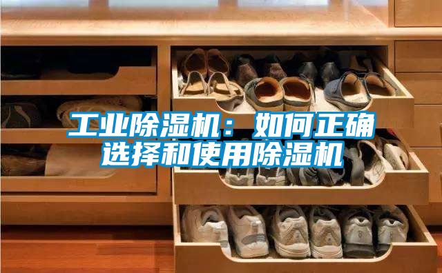 工業除濕機：如何正確選擇和使用除濕機