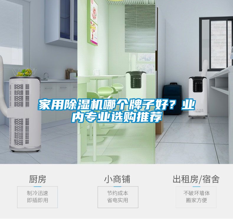 家用除濕機哪個牌子好?業(yè)內(nèi)專業(yè)選購推薦