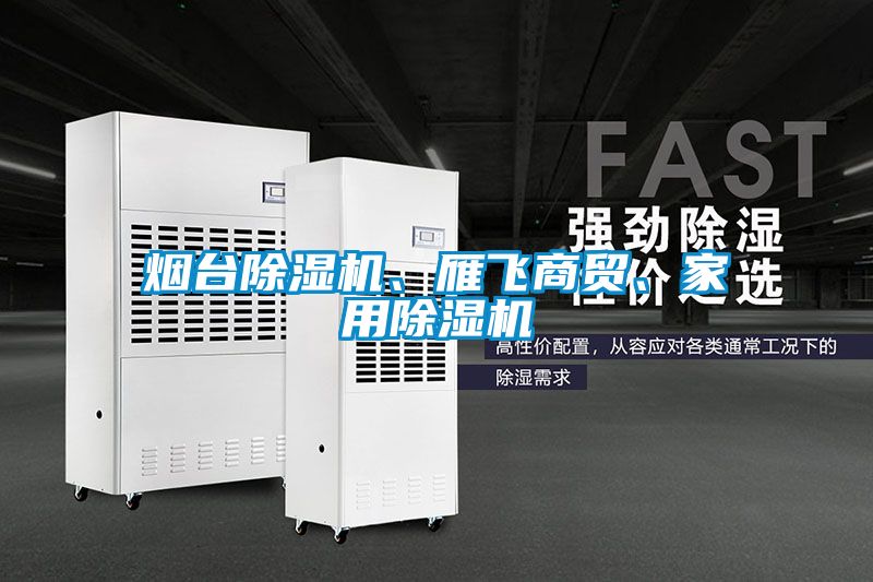 煙臺(tái)除濕機(jī)、雁飛商貿(mào)、家用除濕機(jī)