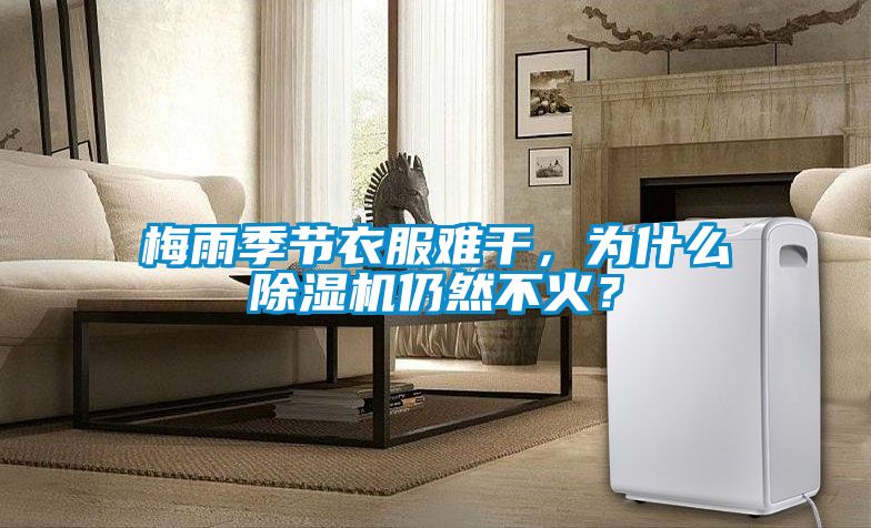 梅雨季節(jié)衣服難干，為什么除濕機仍然不火？