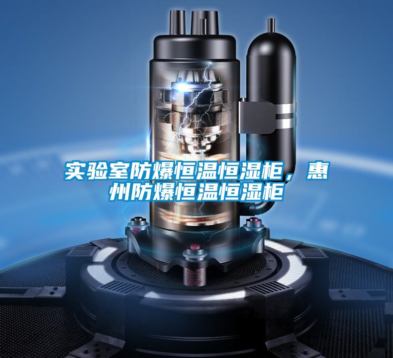 實驗室防爆恒溫恒濕柜,惠州防爆恒溫恒濕柜