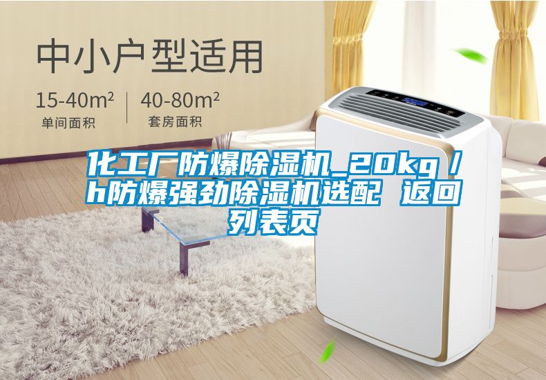 化工廠防爆除濕機_20kg/h防爆強勁除濕機選配 返回列表頁
