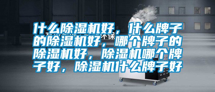 什么除濕機好，什么牌子的除濕機好，哪個牌子的除濕機好，除濕機哪個牌子好，除濕機什么牌子好