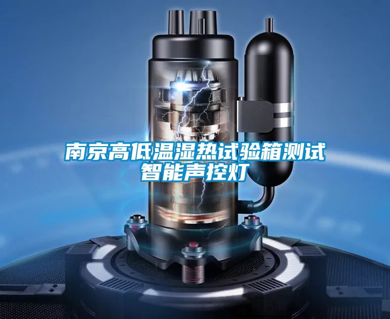 南京高低溫濕熱試驗箱測試智能聲控?zé)?/></p>
						    <p style=